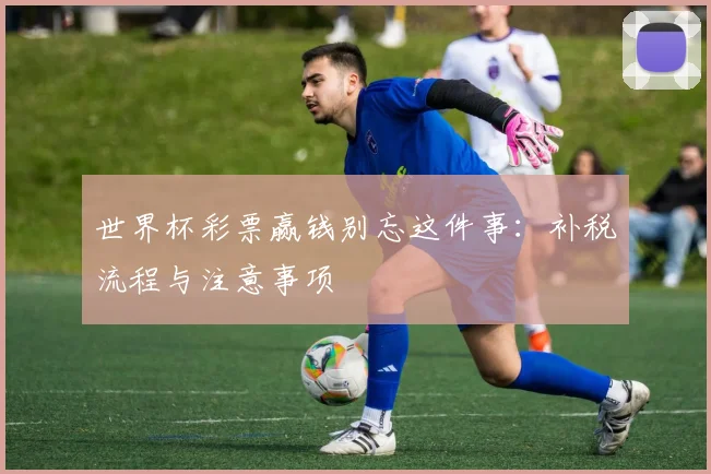 世界杯彩票赢钱别忘这件事：补税流程与注意事项