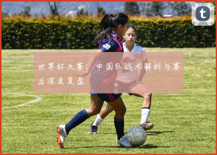 世界杯决赛：中国队战术解析与赛后深度复盘
