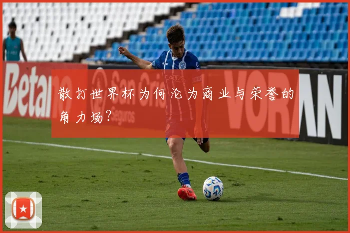 散打世界杯为何沦为商业与荣誉的角力场?