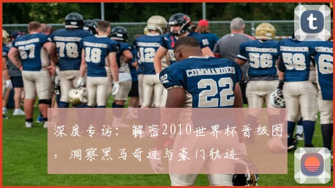 深度专访：解密2010世界杯晋级图，洞察黑马奇迹与豪门轨迹