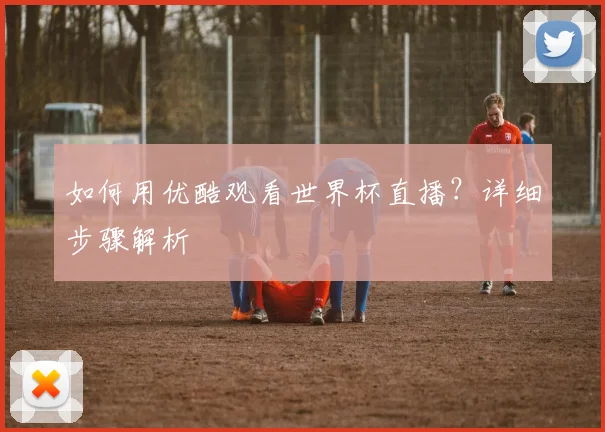 如何用优酷观看世界杯直播？详细步骤解析