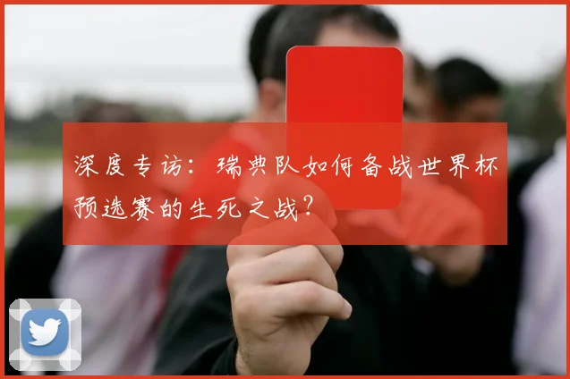 深度专访：瑞典队如何备战世界杯预选赛的生死之战？