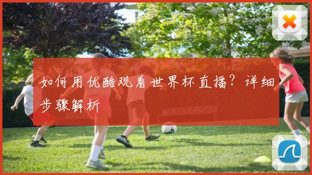 如何用优酷观看世界杯直播？详细步骤解析