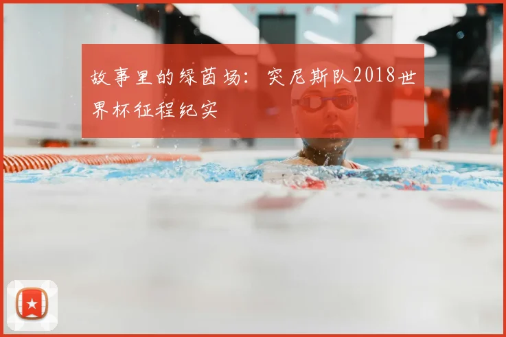 故事里的绿茵场:突尼斯队2018世界杯征程纪实