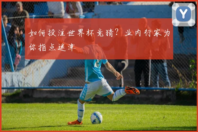 如何投注世界杯竞猜？业内行家为你指点迷津